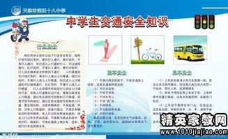 中小學(xué)生交通知識安全演講