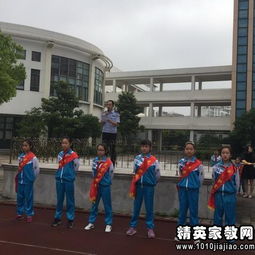 小學(xué)交通安全知識發(fā)言稿