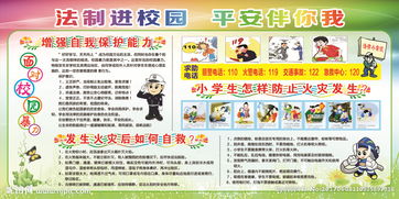 法制安全進(jìn)校園知識
