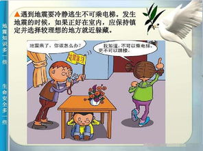 地震安全知識(shí)教育