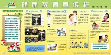 幼兒不吃野生菌安全知識(shí)