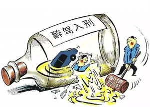 關于醉駕道路交通安全法知識