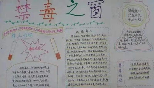 學(xué)校禁毒知識(shí)安全教育手抄報(bào)大全