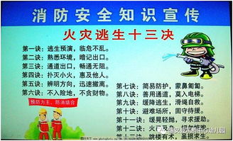 幼兒園安全知識宣傳信息報道