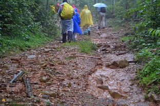 夏季防風(fēng)防雷防雨安全知識