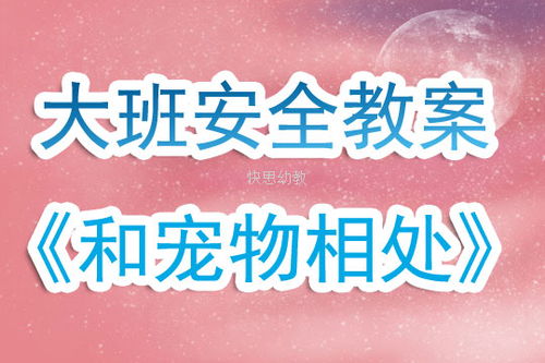 寵物安全知識教學(xué)設(shè)計