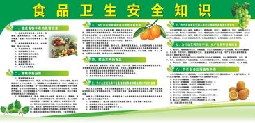 村級(jí)宣傳食品安全知識(shí)培訓(xùn)記錄