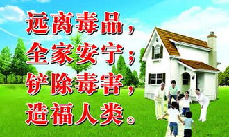 禁毒安全知識競賽作文