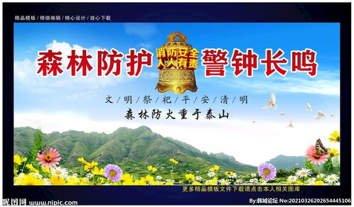 小學(xué)生清明森林防火安全知識總結(jié)