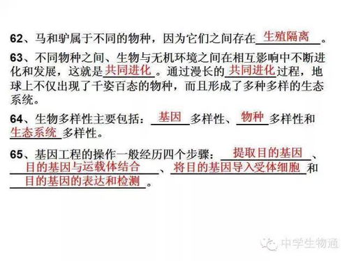 軋鋼安全基礎(chǔ)知識(shí)三個(gè)確認(rèn)是什么