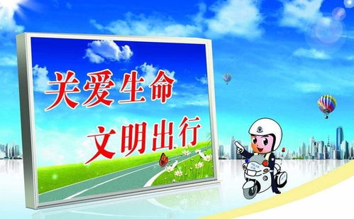 交通安全監(jiān)管專業(yè)知識(shí)