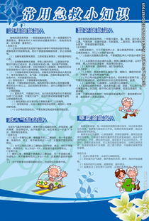 安全急救知識(shí)的作文