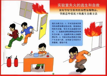 消防安全知識(shí)測(cè)試小結(jié)