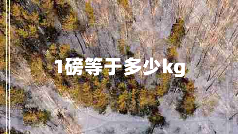 1磅等于多少kg