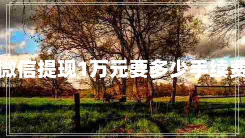 微信提現(xiàn)1萬元要多少手續(xù)費(fèi) 微信提現(xiàn)1萬元要多少手續(xù)費(fèi)