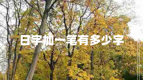 日字加一筆有多少字