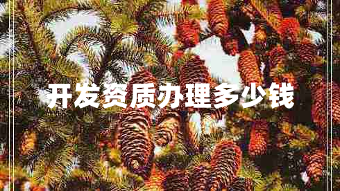 開(kāi)發(fā)資質(zhì)辦理多少錢(qián)