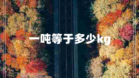 一噸等于多少kg