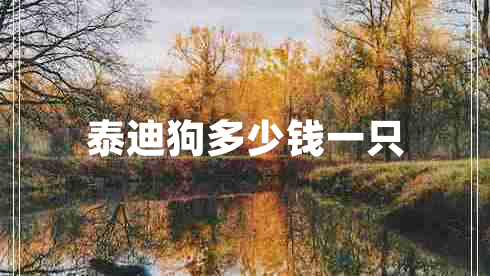 泰迪狗多少錢一只