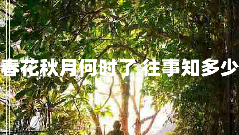 春花秋月何時了 往事知多少