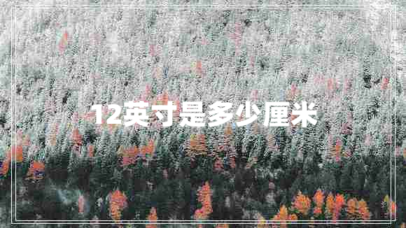 12英寸是多少厘米