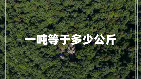 一噸等于多少公斤