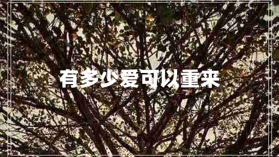 有多少愛可以重來