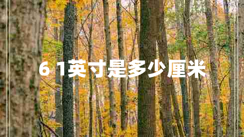 6 1英寸是多少厘米