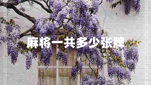 麻將一共多少張牌