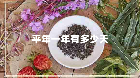平年一年有多少天