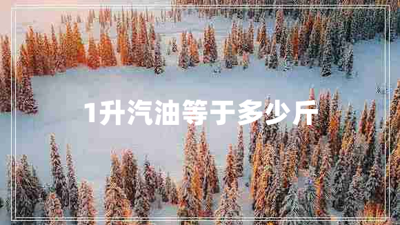 1升汽油等于多少斤