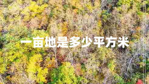 一畝地是多少平方米