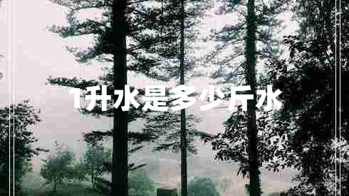1升水是多少斤水 1升水是多少斤水