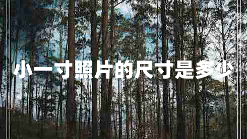 小一寸照片的尺寸是多少 小一寸照片的尺寸是多少