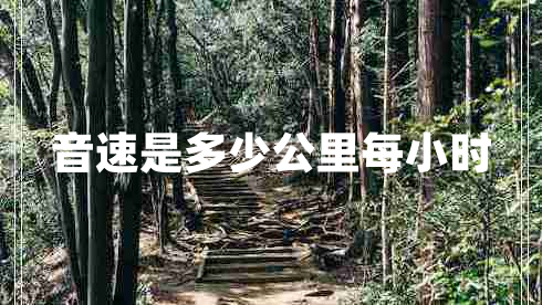 音速是多少公里每小時