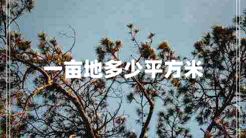 一畝地多少平方米