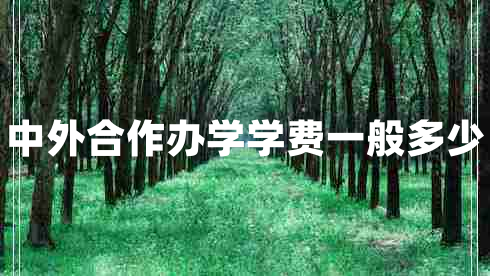 中外合作辦學(xué)學(xué)費(fèi)一般多少