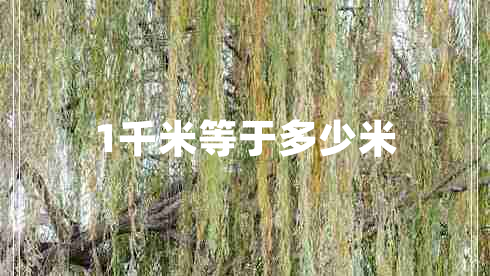 1千米等于多少米