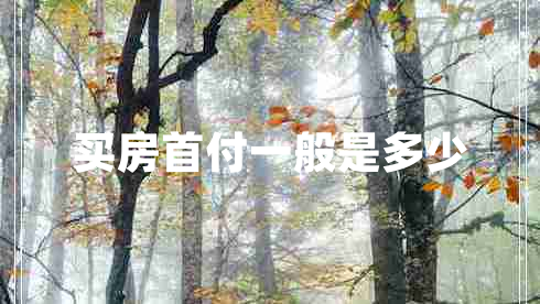 買房首付一般是多少