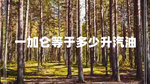 一加侖等于多少升汽油