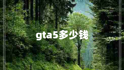 gta5多少錢