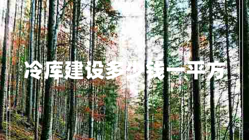 冷庫建設(shè)多少錢一平方
