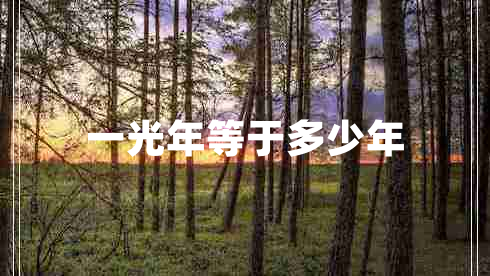 一光年等于多少年