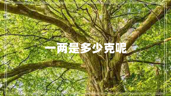 一兩是多少克呢