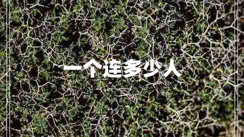 一個連多少人 一個連多少人