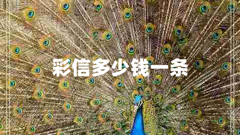 彩信多少錢(qián)一條