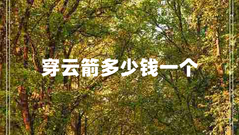 穿云箭多少錢一個 穿云箭多少錢一個