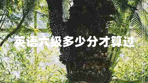 英語六級多少分才算過 英語六級多少分才算過