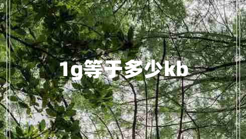 1g等于多少kb 1g等于多少kb