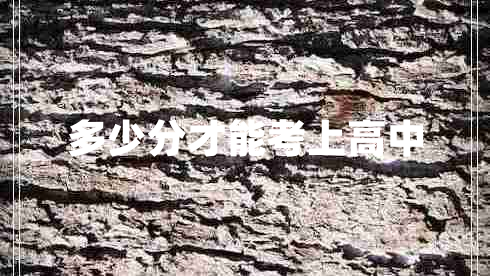 多少分才能考上高中 多少分才能考上高中